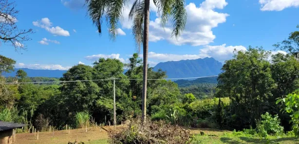 Fazenda / Sítio / Chácara com 3 Quartos à venda, 100000m² no Antonina, Antonina