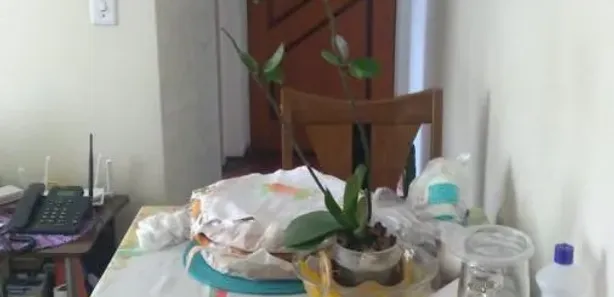 Apartamento com 2 Quartos à venda, 50m² no Jardim Iracema, Taboão da Serra