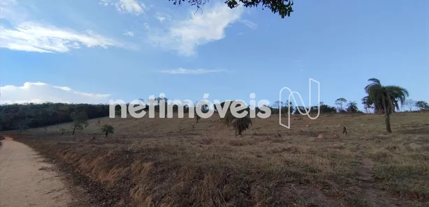 Fazenda / Sítio / Chácara à venda, 80000m² no , Florestal