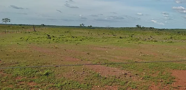 Fazenda / Sítio / Chácara à venda, 320m² no , Pedro Afonso