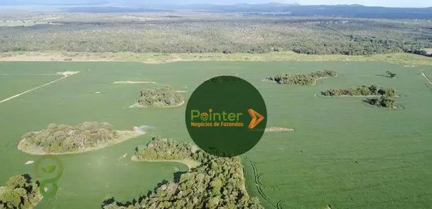 Fazenda / Sítio / Chácara à venda, 7000000m² no Parque Residencial Nova Fronteira, Gurupi
