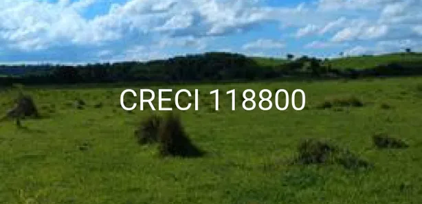 Fazenda / Sítio / Chácara com 1 Quarto à venda, 556600m² no Centro, Laranjal Paulista