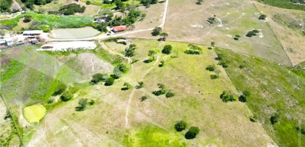 Fazenda / Sítio / Chácara com 3 Quartos à venda, 220000m² no , Sairé