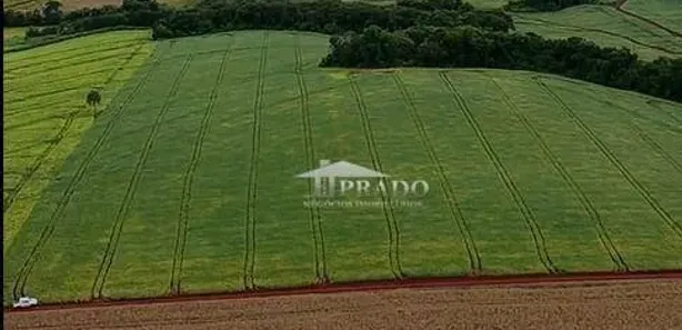 Fazenda / Sítio / Chácara à venda, 188518m² no Seção Timbori, Uraí