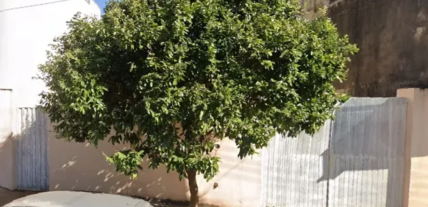 Casa com 2 Quartos à venda, 107m² no Jardim Bom Sucesso II, Santa Gertrudes