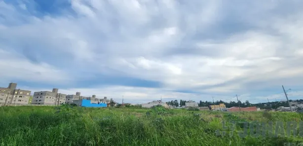 Terreno / Lote / Condomínio à venda, 360m² no Loteamento Central, Apucarana