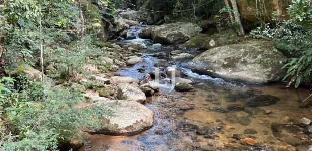 Terreno / Lote / Condomínio à venda, 5206m² no Pedro do Rio, Petrópolis
