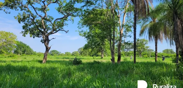 Fazenda / Sítio / Chácara à venda, 150m² no , Paraíso do Tocantins