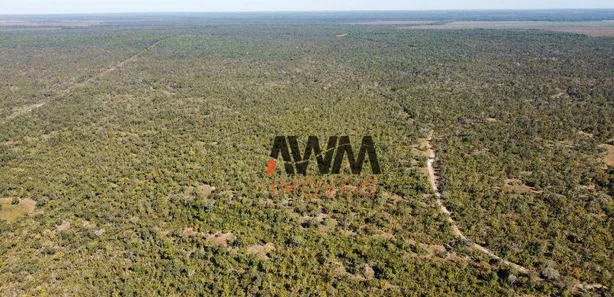 Fazenda / Sítio / Chácara à venda, 16165600m² no Centro, Cristalândia