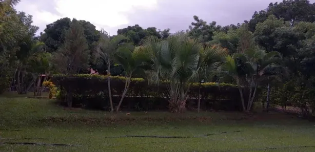 Fazenda / Sítio / Chácara com 2 Quartos à venda, 300m² no Gercino Coelho, Petrolina