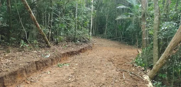 Terreno / Lote / Condomínio à venda, 38320m² no Itatuba, São Lourenço da Serra