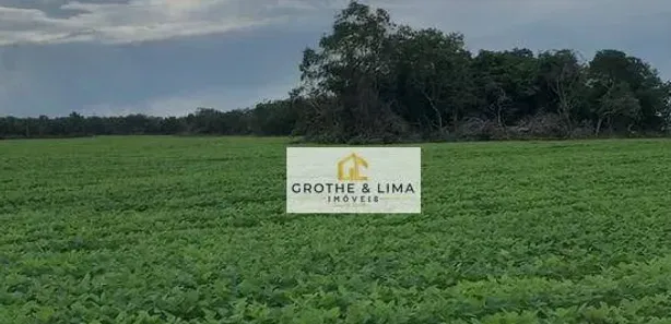 Fazenda / Sítio / Chácara com 10 Quartos à venda, 600m² no Jardim Tropical, Gurupi
