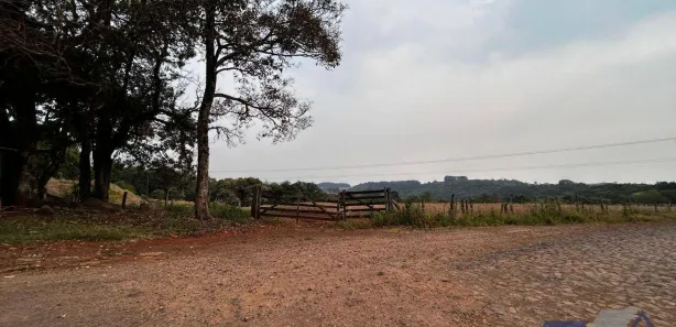 Terreno / Lote / Condomínio à venda, 247900m² no Guaraniaçu, Guaraniaçu