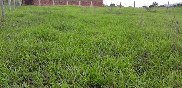 Terreno / Lote / Condomínio à venda, 450m² no Sampaio Correia (Sampaio Correia), Saquarema