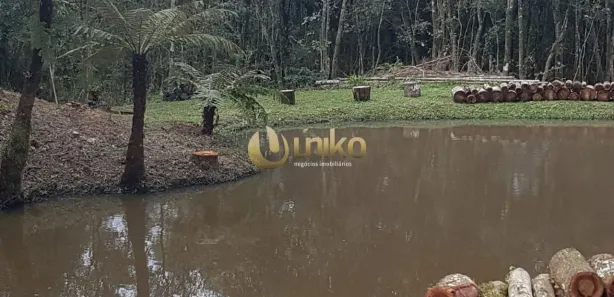 Fazenda / Sítio / Chácara com 4 Quartos à venda, 120m² no Área Industrial Cacaiguera, Campina Grande do Sul
