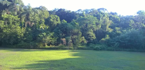 Fazenda / Sítio / Chácara com 3 Quartos à venda, 630m² no Jardim Sinki, Franco da Rocha