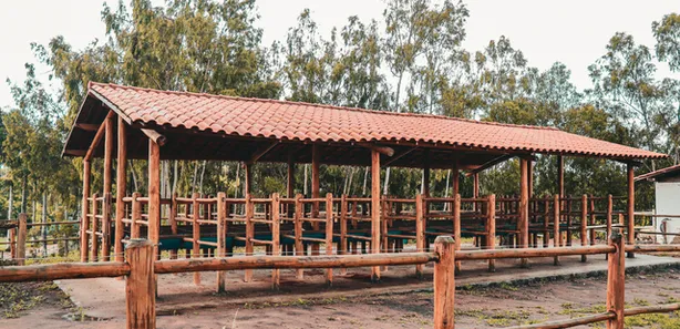 Fazenda / Sítio / Chácara à venda, 350000m² no Centro, Chã Grande