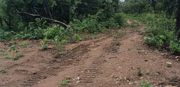 Fazenda / Sítio / Chácara à venda, 1m² no , Paranã