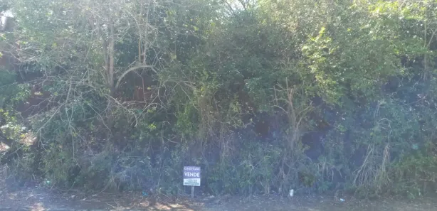 Terreno / Lote / Condomínio à venda, 1000m² no , Armação dos Búzios
