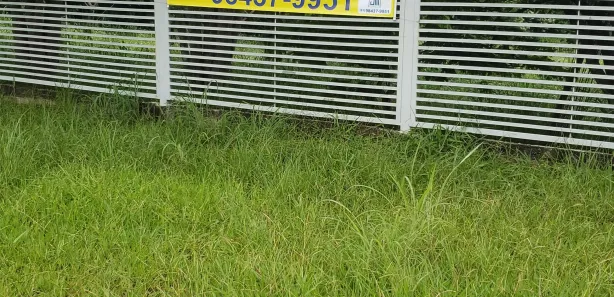 Terreno / Lote / Condomínio à venda, 2500m² no Park Way, Brasília