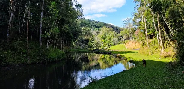 Fazenda / Sítio / Chácara à venda, 72000m² no Colônia Antônio Prado, Almirante Tamandaré