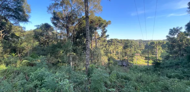 Fazenda / Sítio / Chácara à venda, 5500m² no Pacotuba, Almirante Tamandaré