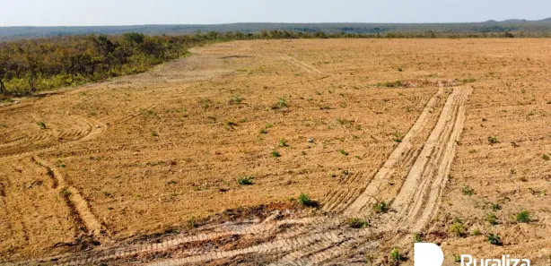 Fazenda / Sítio / Chácara à venda, 1703m² no , Ponte Alta do Tocantins