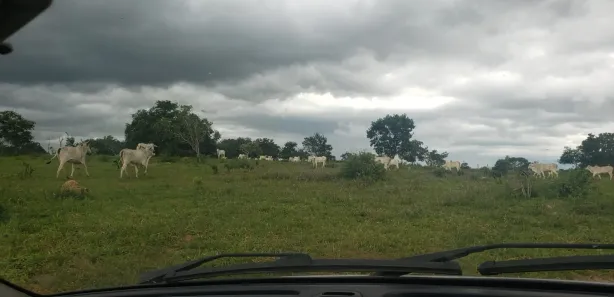 Fazenda / Sítio / Chácara à venda, 690m² no , Padre Bernardo