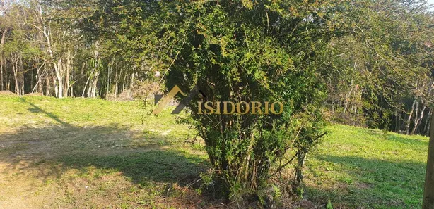 Terreno / Lote / Condomínio à venda, 20000m² no Centro, Campo Largo