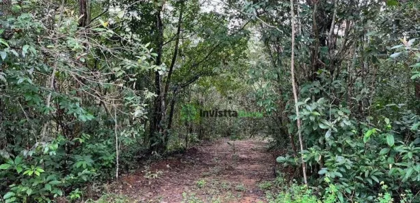 Fazenda / Sítio / Chácara com 1 Quarto à venda, 480m² no , Pedro Afonso