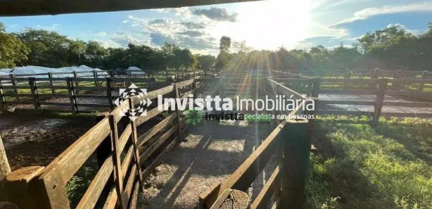 Fazenda / Sítio / Chácara à venda, 1283m² no Centro, Pium