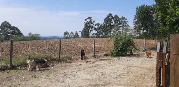 Fazenda / Sítio / Chácara com 3 Quartos à venda, 150m² no , Sarapuí