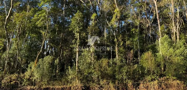 Terreno / Lote / Condomínio à venda, 450m² no Carniel, Gramado