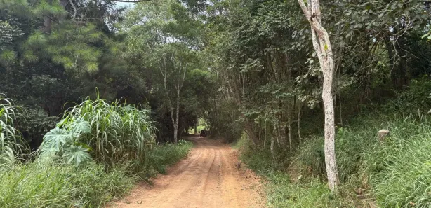 Casa de Condomínio com 1 Quarto à venda, 500m² no Puris, Ibiúna