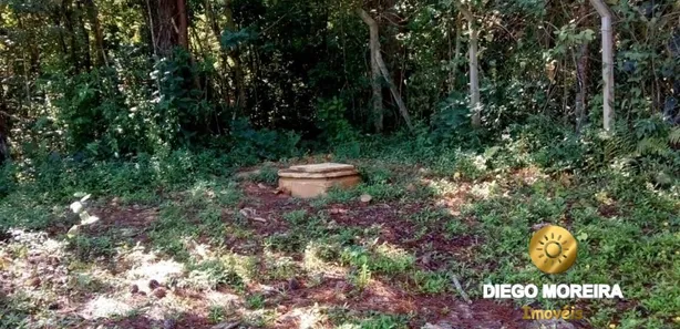 Terreno / Lote / Condomínio à venda, 1242m² no Pirucaia, Mairiporã
