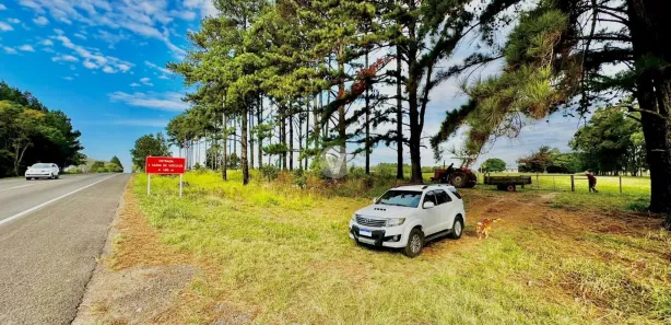 Fazenda / Sítio / Chácara à venda, 300m² no Cerrito, Santa Maria