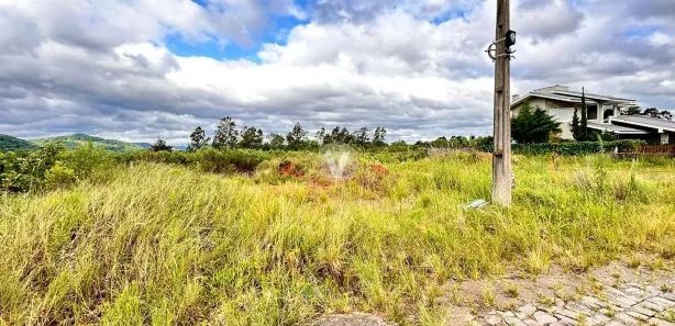 Terreno / Lote / Condomínio à venda, 548m² no Pé de Plátano, Santa Maria
