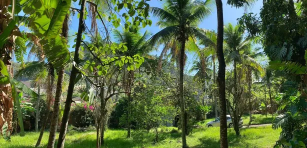 Fazenda / Sítio / Chácara com 4 Quartos à venda, 8000m² no Jacarepaguá, Rio de Janeiro