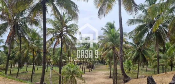 Terreno / Lote / Condomínio à venda, 27598m² no , Conde
