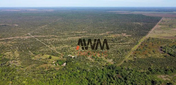 Fazenda / Sítio / Chácara à venda, 16165600m² no Centro, Cristalândia