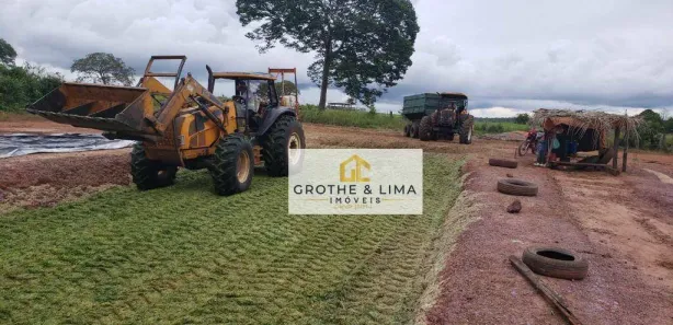 Fazenda / Sítio / Chácara com 10 Quartos à venda, 600m² no Centro, Lagoa da Confusão