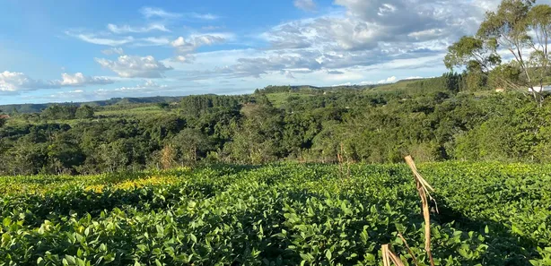 Fazenda / Sítio / Chácara com 2 Quartos à venda, 70000m² no , Brasília