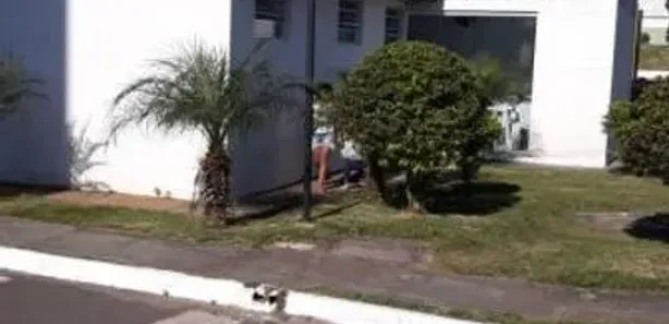Apartamento com 2 Quartos à venda, 50m² no Chácara Dona Escolástica, Itaquaquecetuba