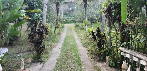Fazenda / Sítio / Chácara com 6 Quartos à venda, 6350m² no Zona Rural, Mendes