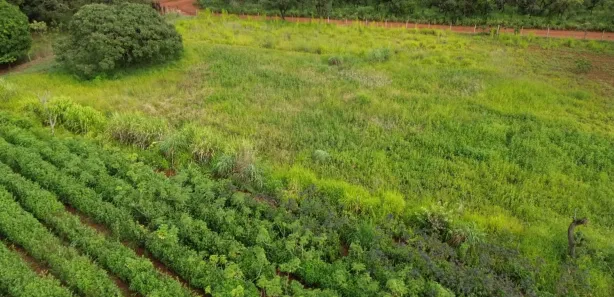 Fazenda / Sítio / Chácara com 2 Quartos à venda, 24000m² no , Brasília