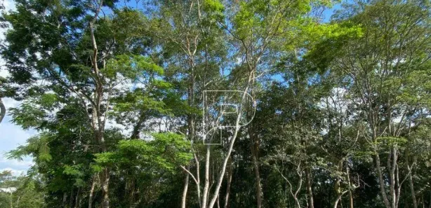 Terreno / Lote / Condomínio à venda, 850m² no Jardim dos Ipês, Embu das Artes