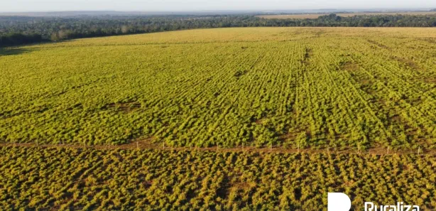 Fazenda / Sítio / Chácara à venda, 304m² no , Guaraí