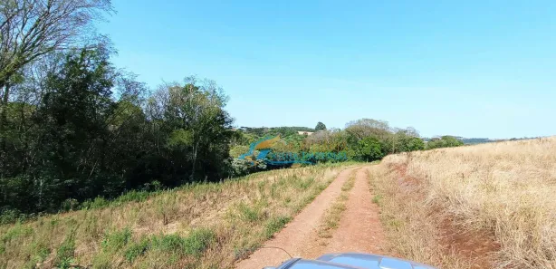 Fazenda / Sítio / Chácara à venda, 24200m² no São João d'Oeste, Cascavel