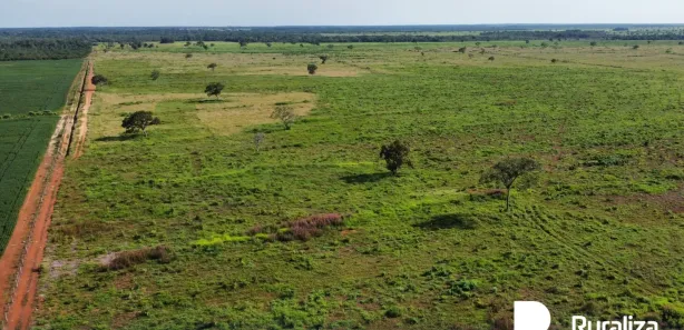 Fazenda / Sítio / Chácara à venda, 503m² no , Pium