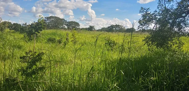 Fazenda / Sítio / Chácara à venda, 60000m² no Jardim Roriz, Brasília